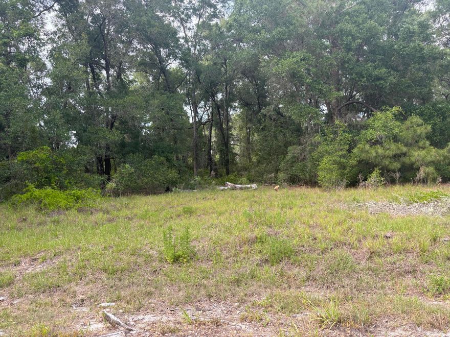 Build your Florida dream home on this .30-acre lot located on a quiet cul-de-sac in Silver Springs Shores. This partially cleared parcel offers a great head start for construction while still allowing room for privacy and customization. Enjoy the freedom of no HOA and no HOA fees, giving you flexibility to build to your needs. The lot features approximately 13,068 square feet and is situated in an established area with new construction nearby. Conveniently located near shopping, dining, and schools. Buyer to verify lot size, utilities, and building requirements.