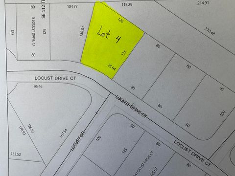 Tbd Locust Drive Court Ocala FL 