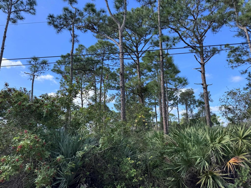 Photo of 0 Tree Top Trail, Fort Pierce, FL 34951 (MLS # R11104421)