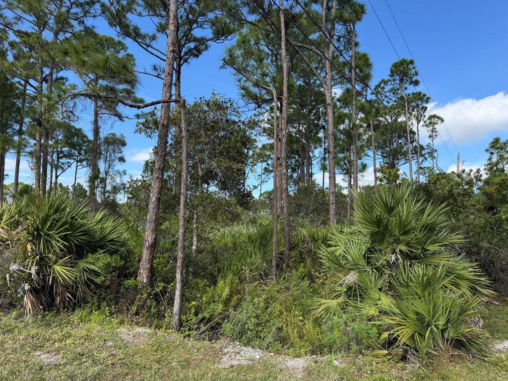 Photo of 0 Tree Top Trail, Fort Pierce, FL 34951 (MLS # R11104421)