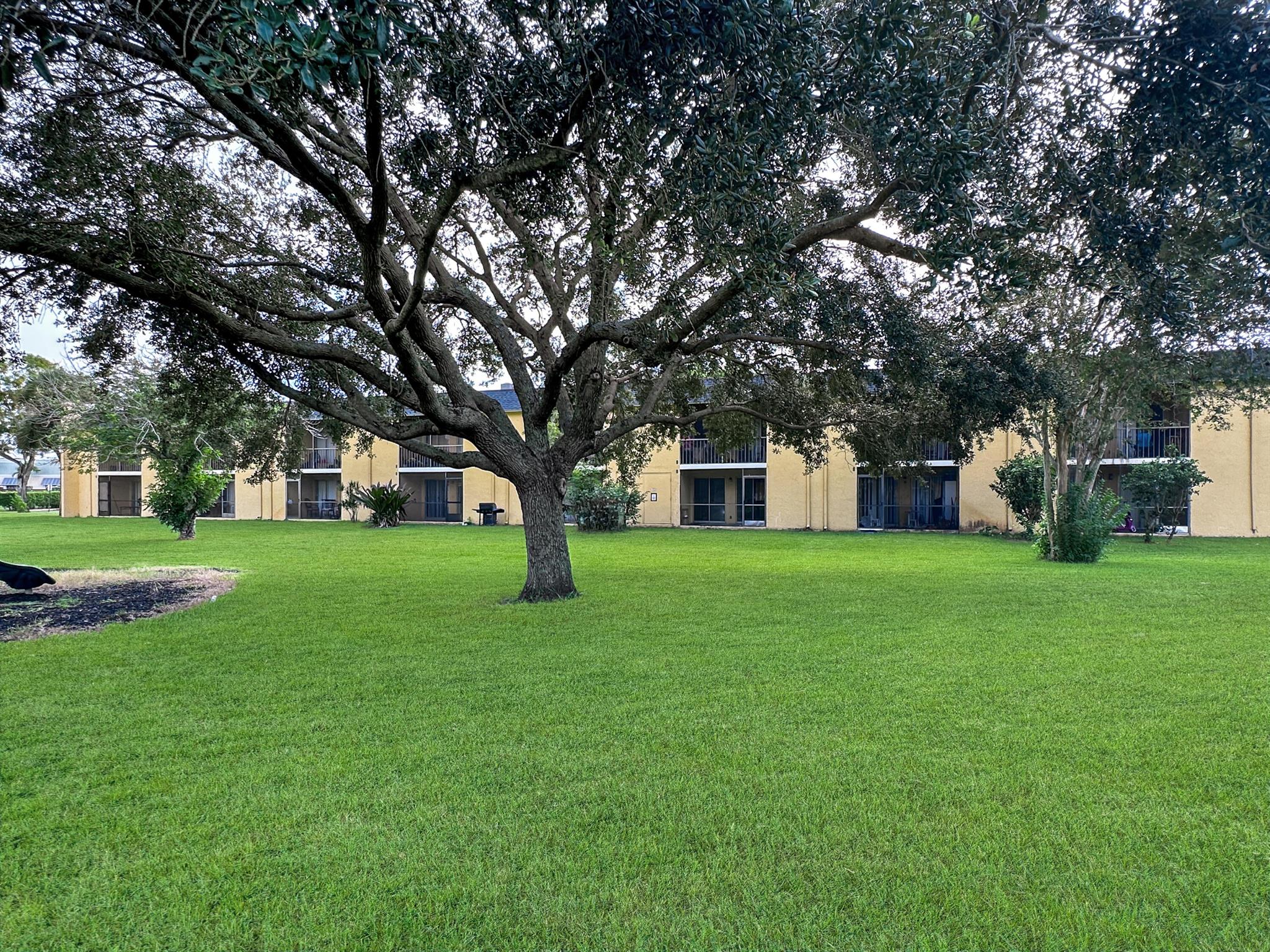 MEADOWS ON THE GREEN COND - Residential