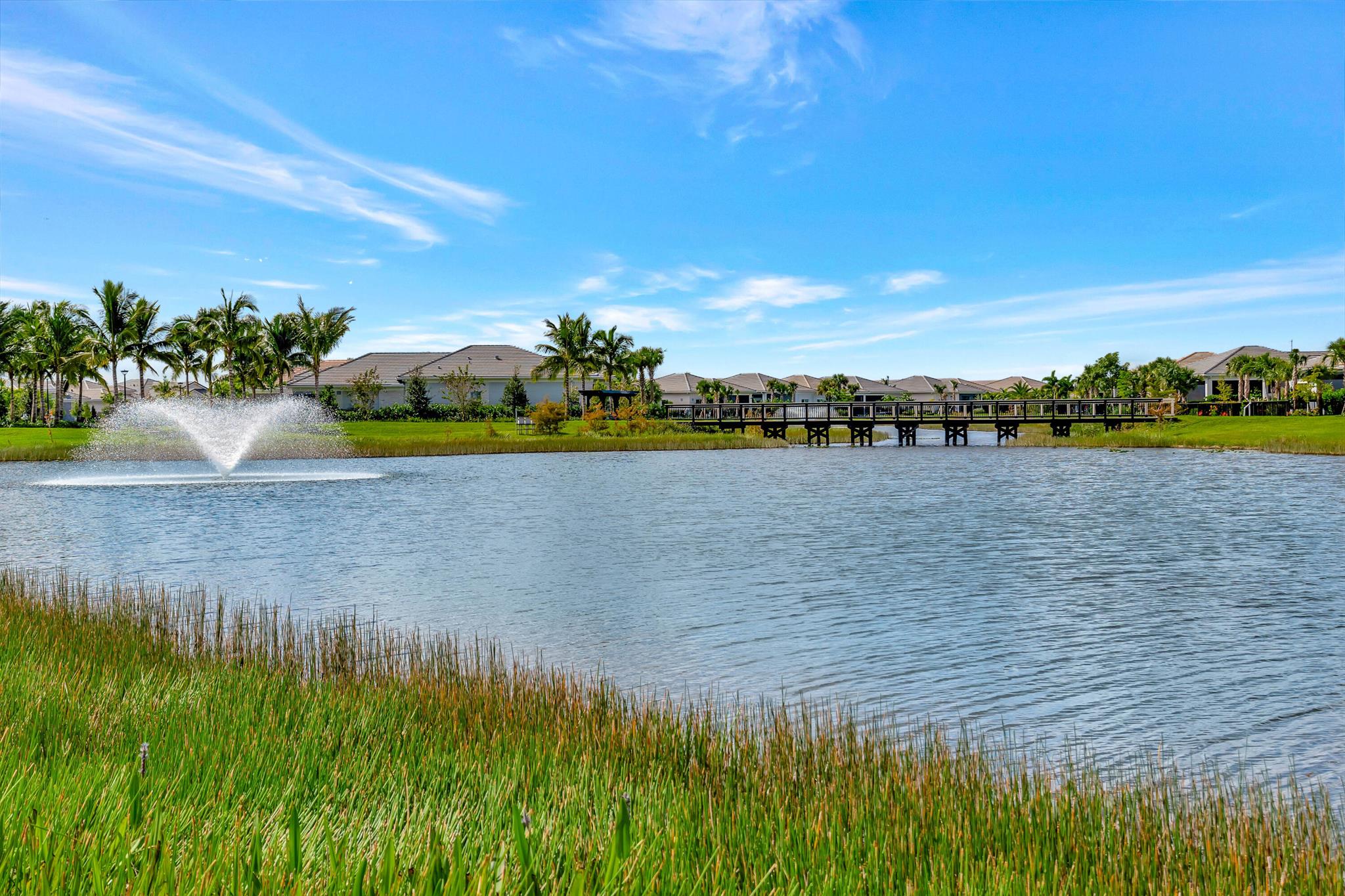 Regency at Avenir - Residential