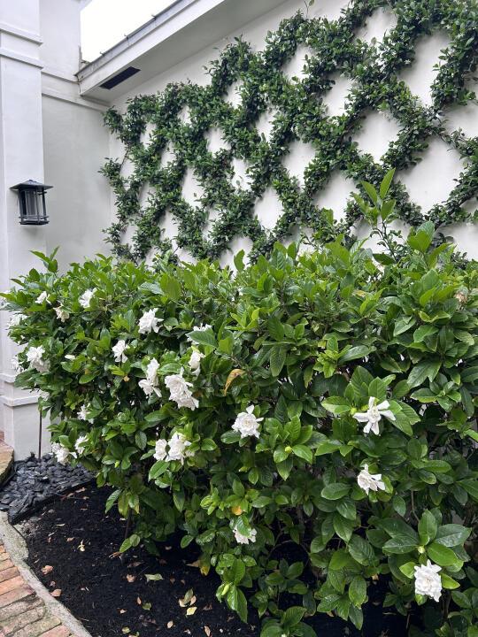 BOCA VILLAS SEC C - Residential