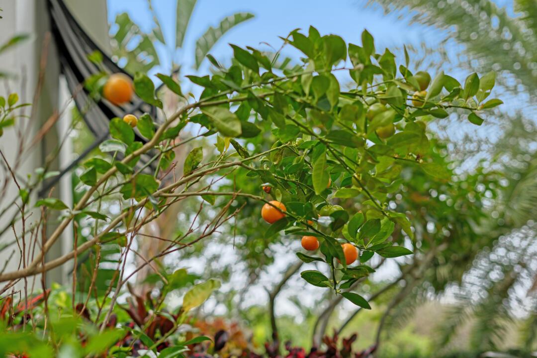 BOCA VILLAS SEC C - Residential