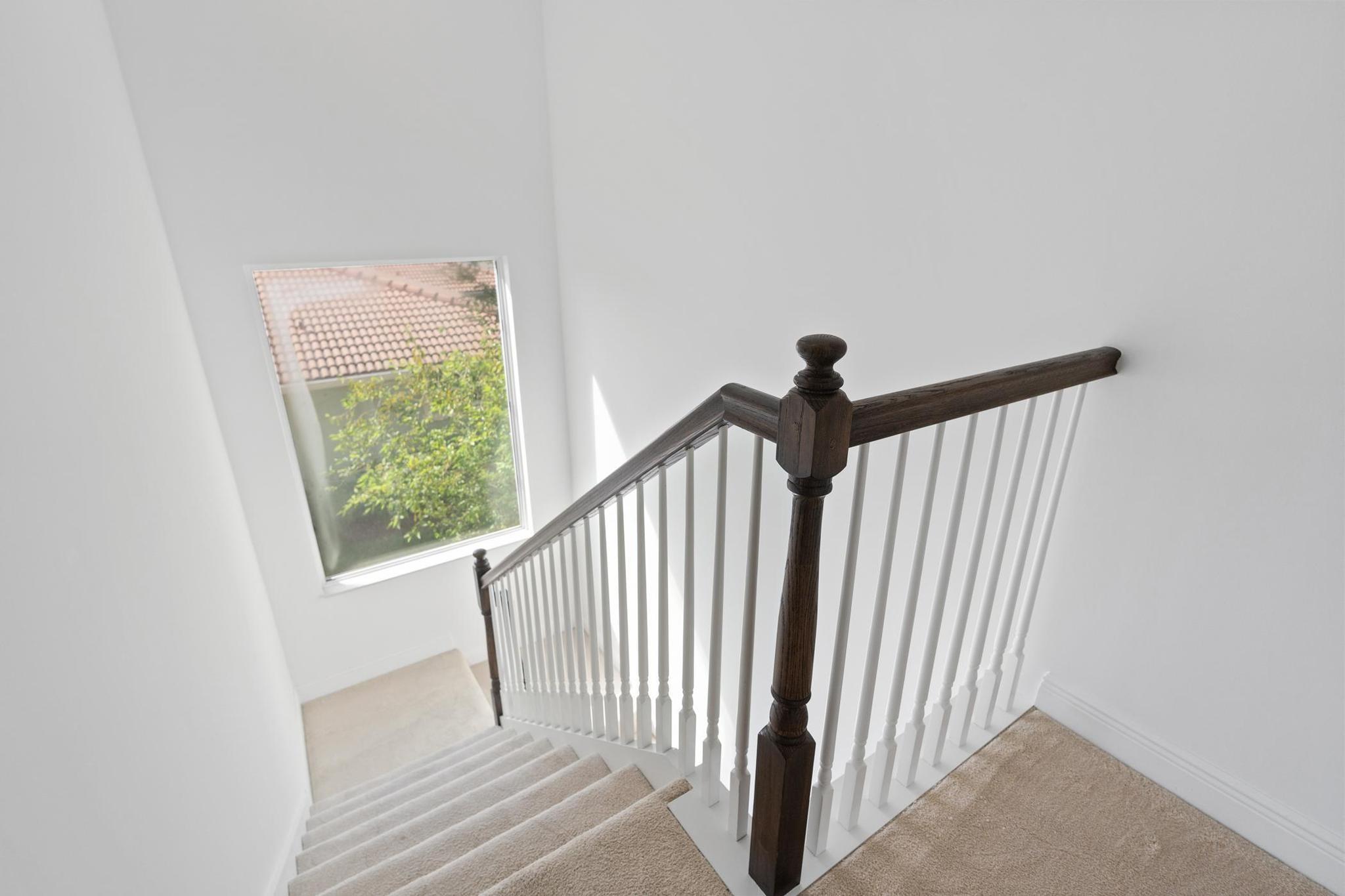 Treasure Cove - Residential