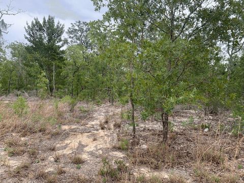 0 Gray St Interlachen FL 32148