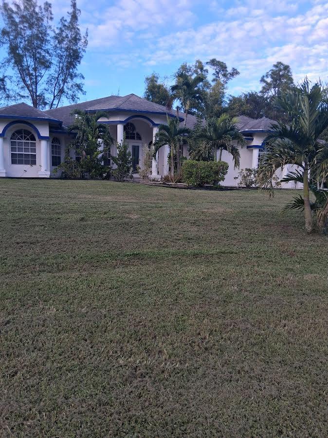 none - Residential Lease