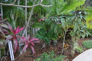 Newhaven 7B Ph 2 At Abaco - Residential