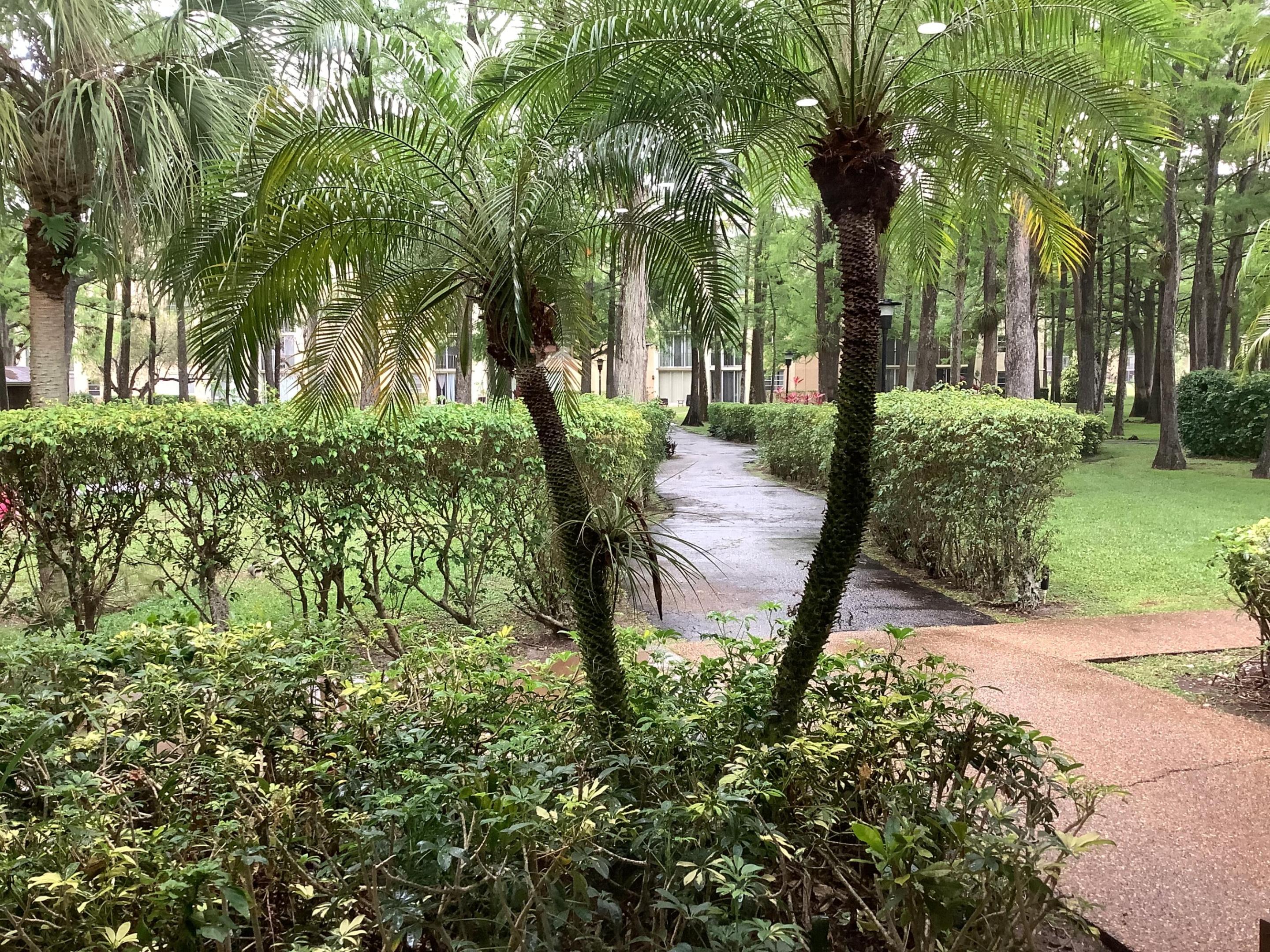 CASCADES OF LAUDERHILL 2 CONDO - Residential