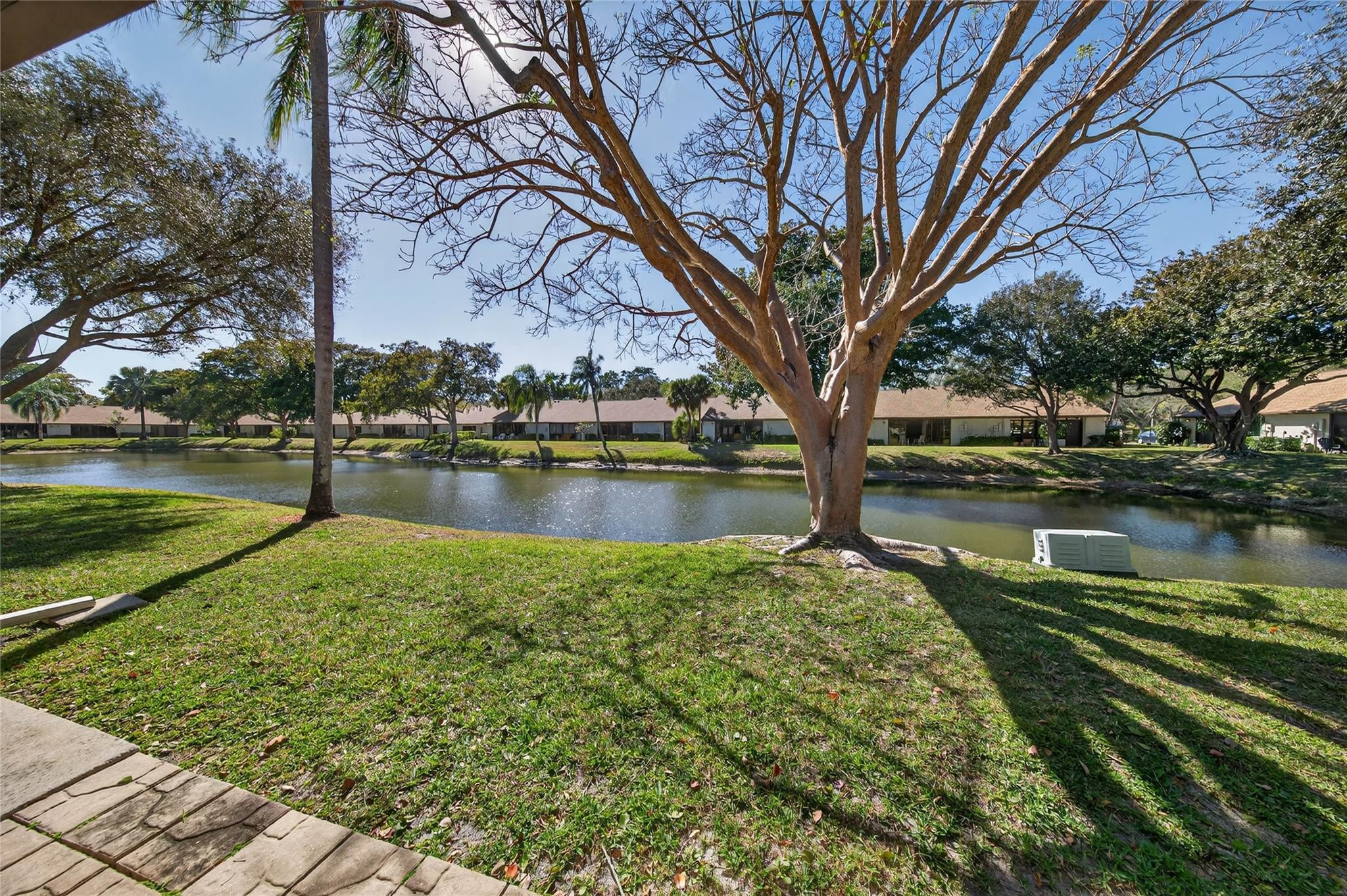 Ginger Tree - Residential