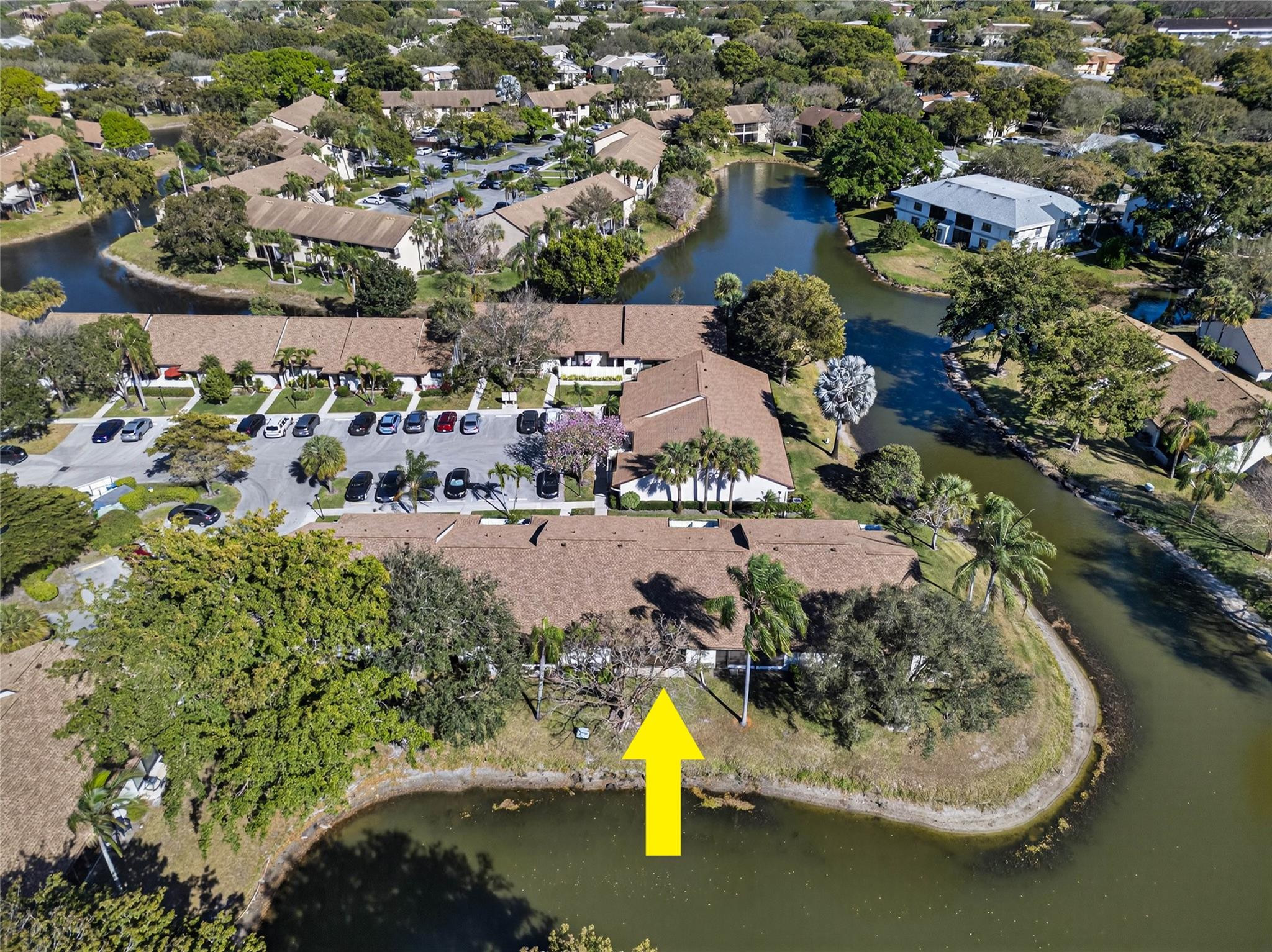 Ginger Tree - Residential