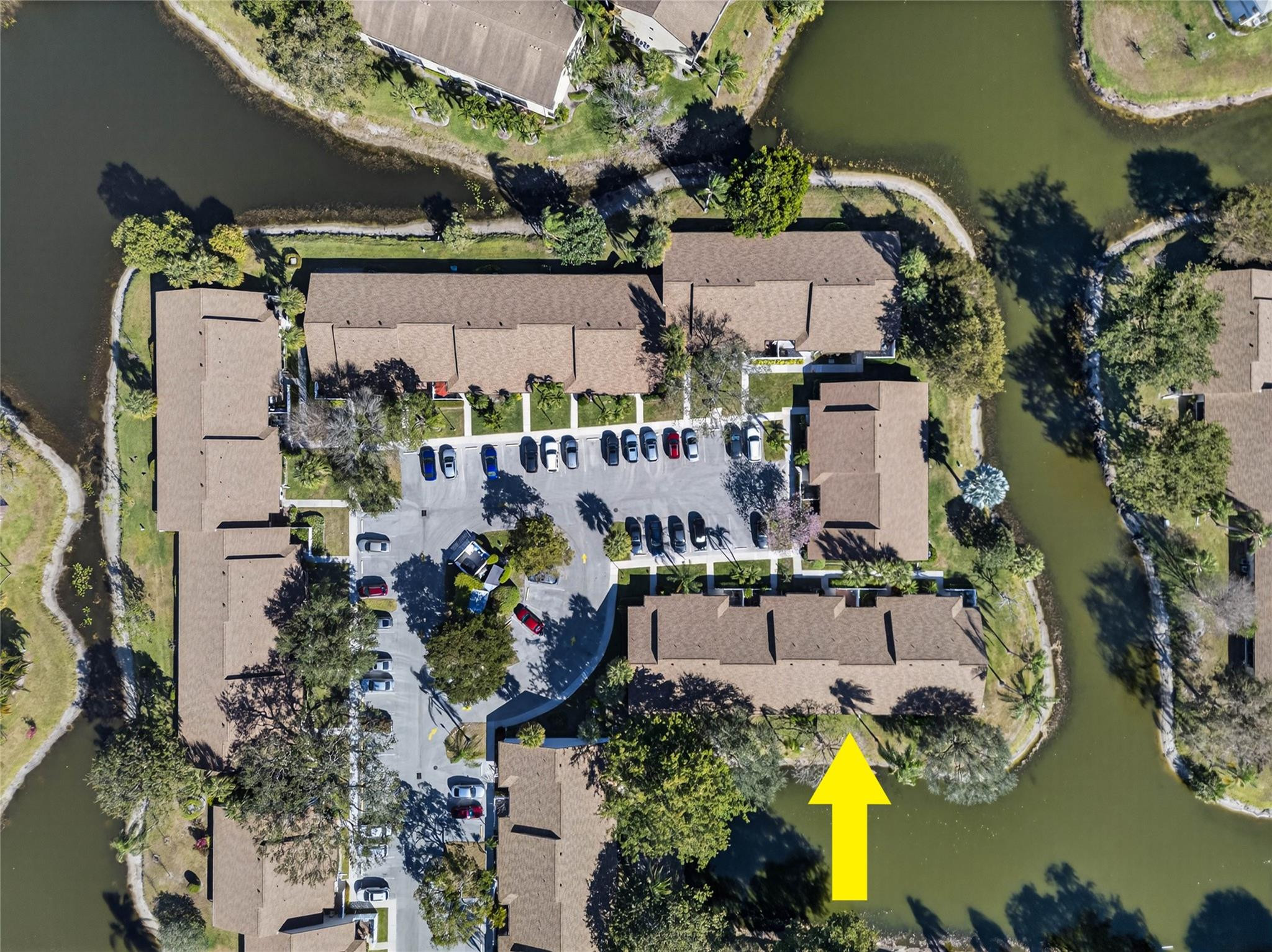 Ginger Tree - Residential