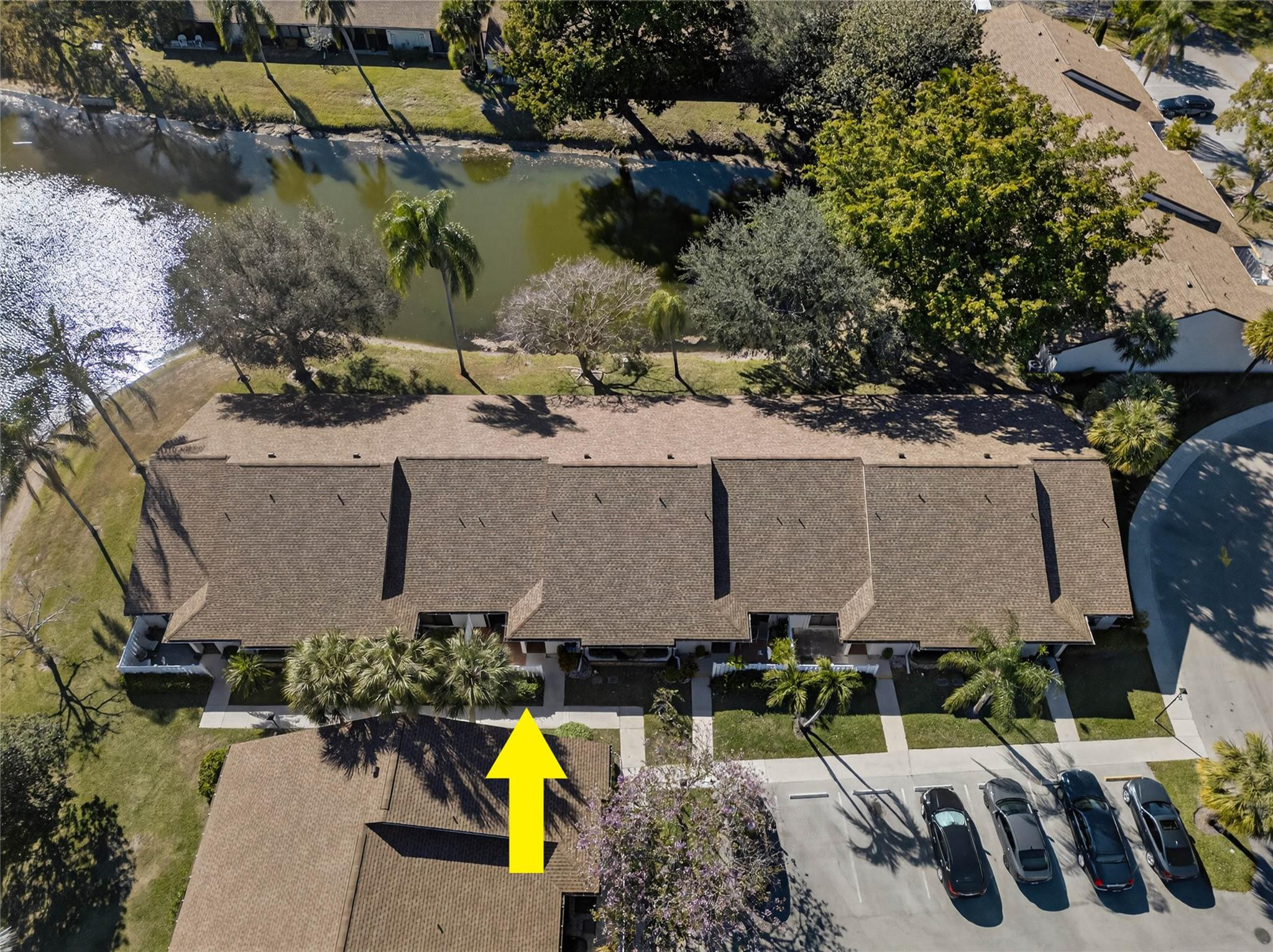 Ginger Tree - Residential