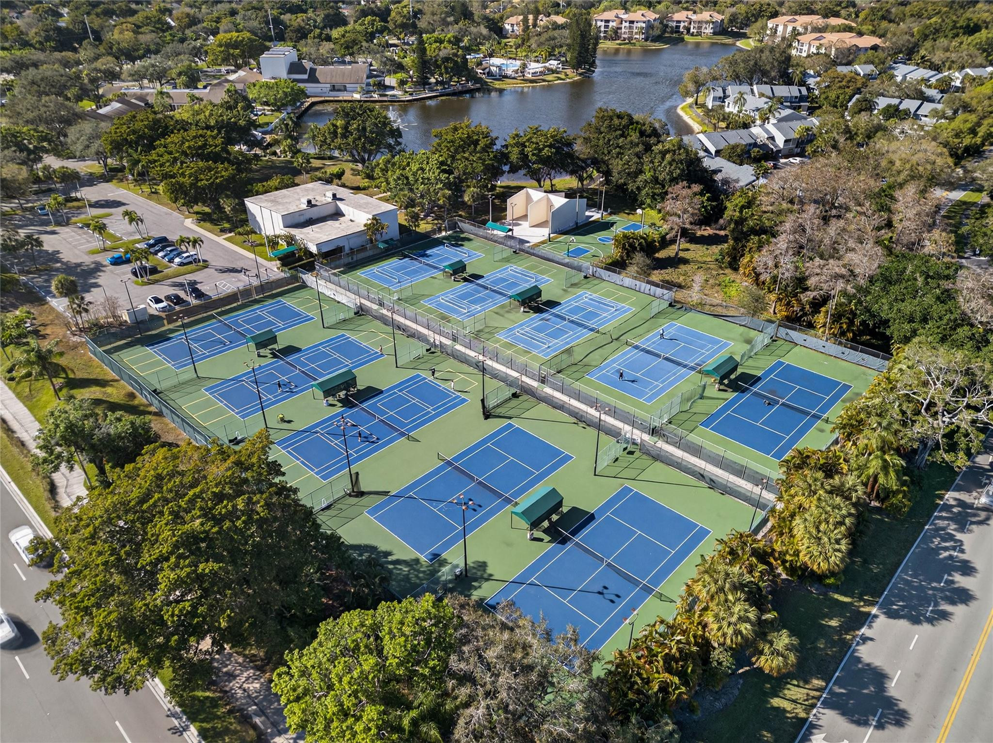 Ginger Tree - Residential