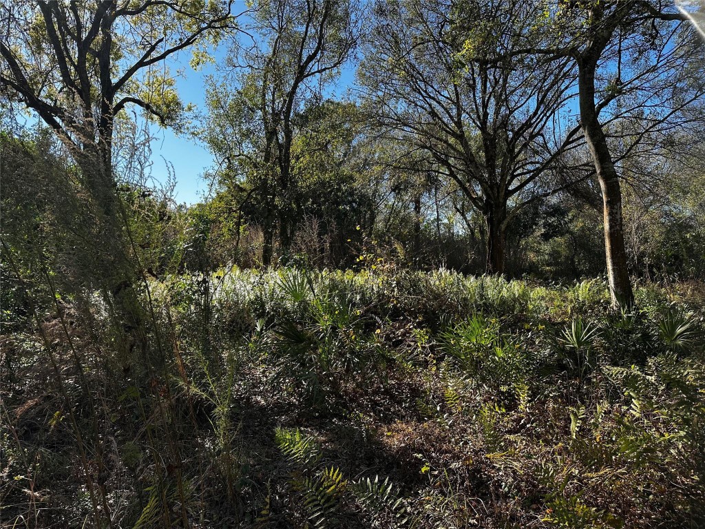 Orange Blossom Ranches - Land