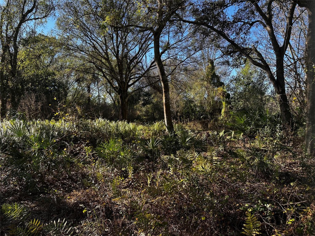 Orange Blossom Ranches - Land