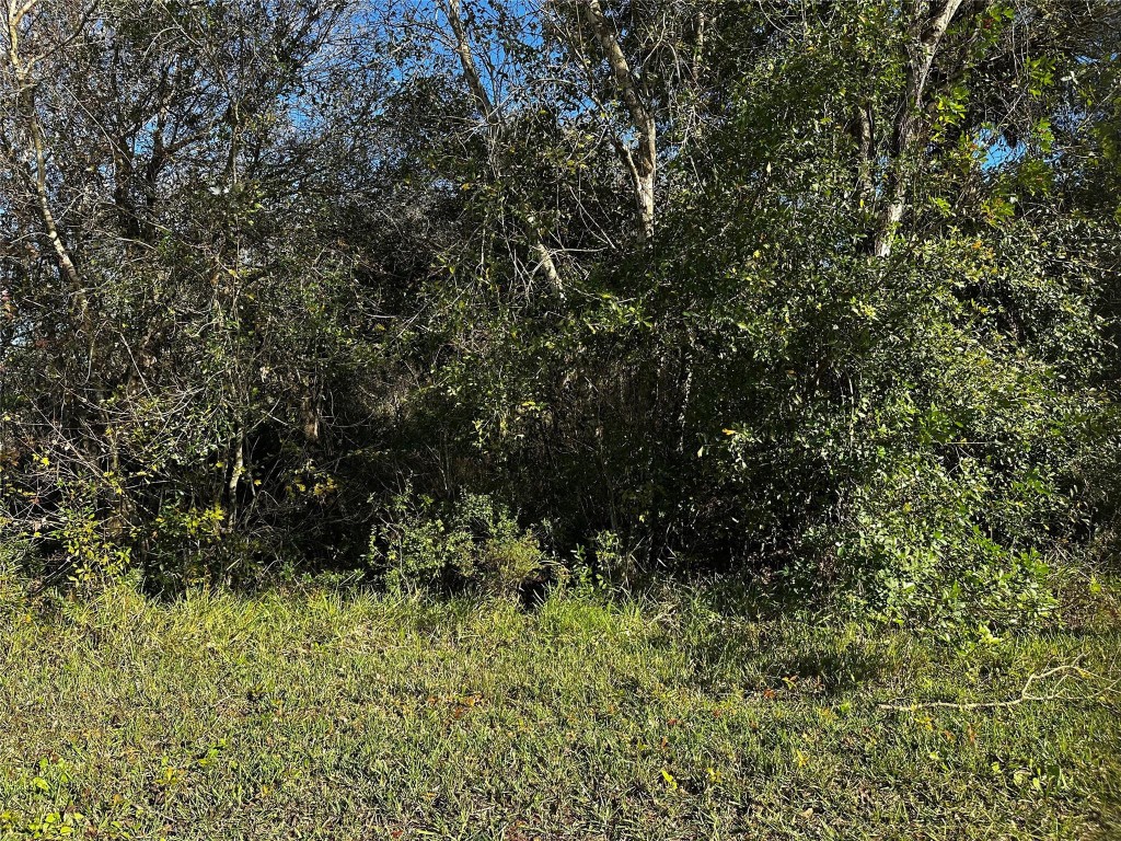 Orange Blossom Ranches - Land