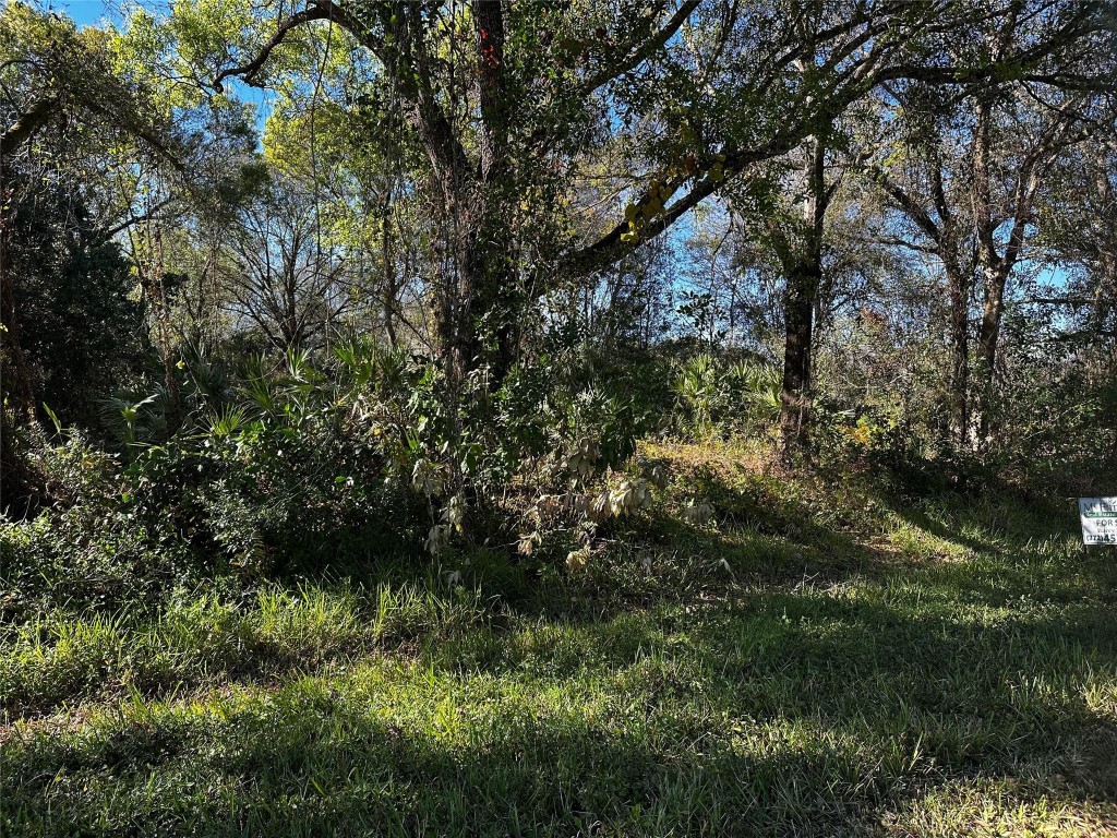 Orange Blossom Ranches - Land
