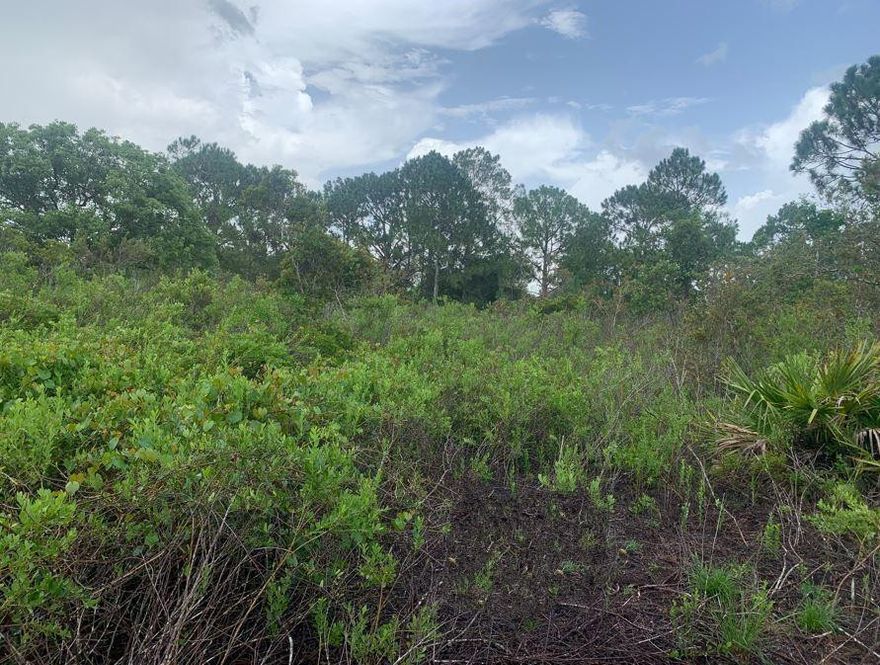 High and Dry in Sebring FL! Make this building lot your own up on the Florida Ridge. Great opportunity to take advantage of owner financing with only $1,500 down!!No pre-payment penalty, so you can pay it off whenever you’d like.