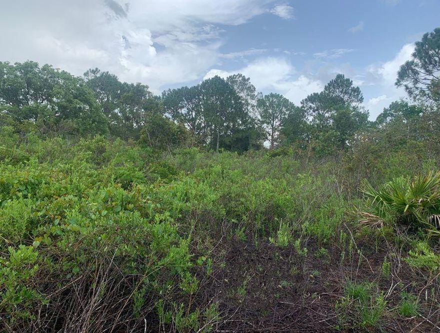 High and Dry in Sebring FL! Make this building lot your own up on the Florida Ridge. Great opportunity to take advantage of owner financing with only $1,500 down!!
No pre-payment penalty, so you can pay it off whenever you’d like.