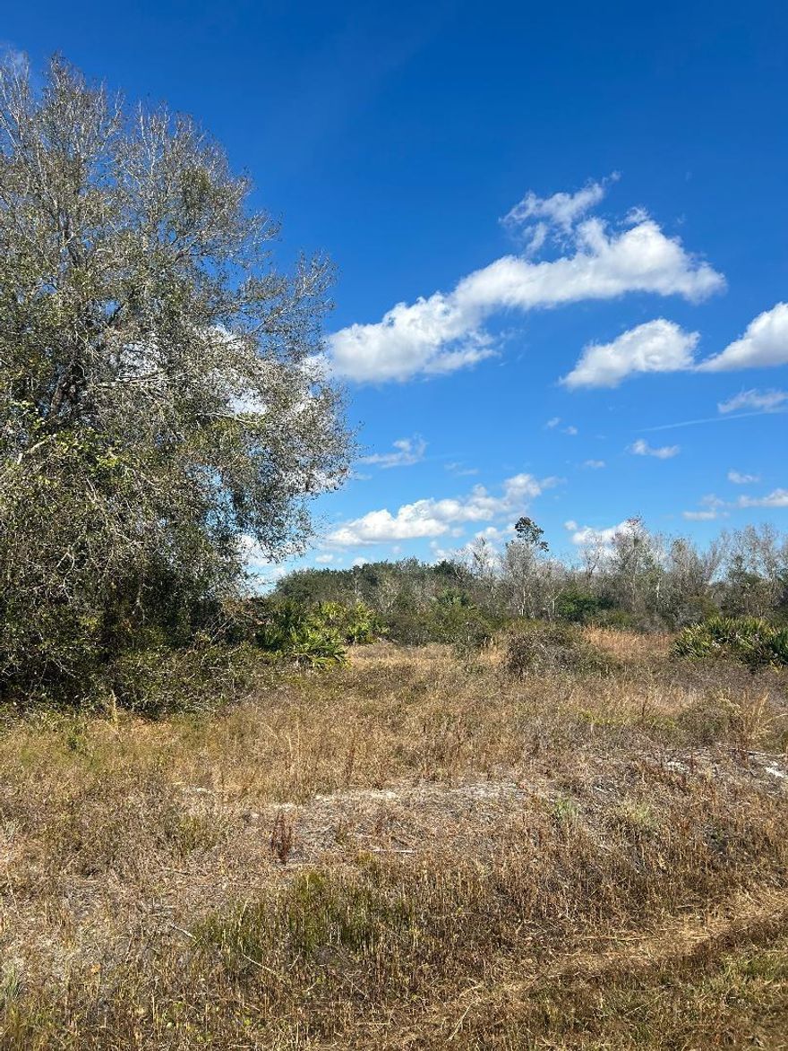 1.25 Acre Parcel , partially cleared with some trees high and dry near power not flood zone
