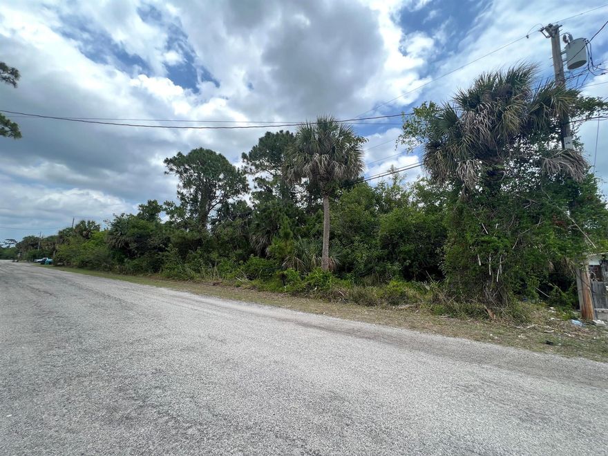 Looking to build your new Home? This is 0.31 almost Half an Acre tucked away in W Dixie Fort Pierce Florida. Closer to the Airport. The lot next to this is also for sale. Can be purchased as a package. This is a good buy for this size lot. This lot is listed below market value! Buying land in Florida is a solid investment for your future, build your dream home, vacation home, rental investment, or let the land build value as a great long-term investment to resell for a future profit. These lots are just south of 3110 w dixie.