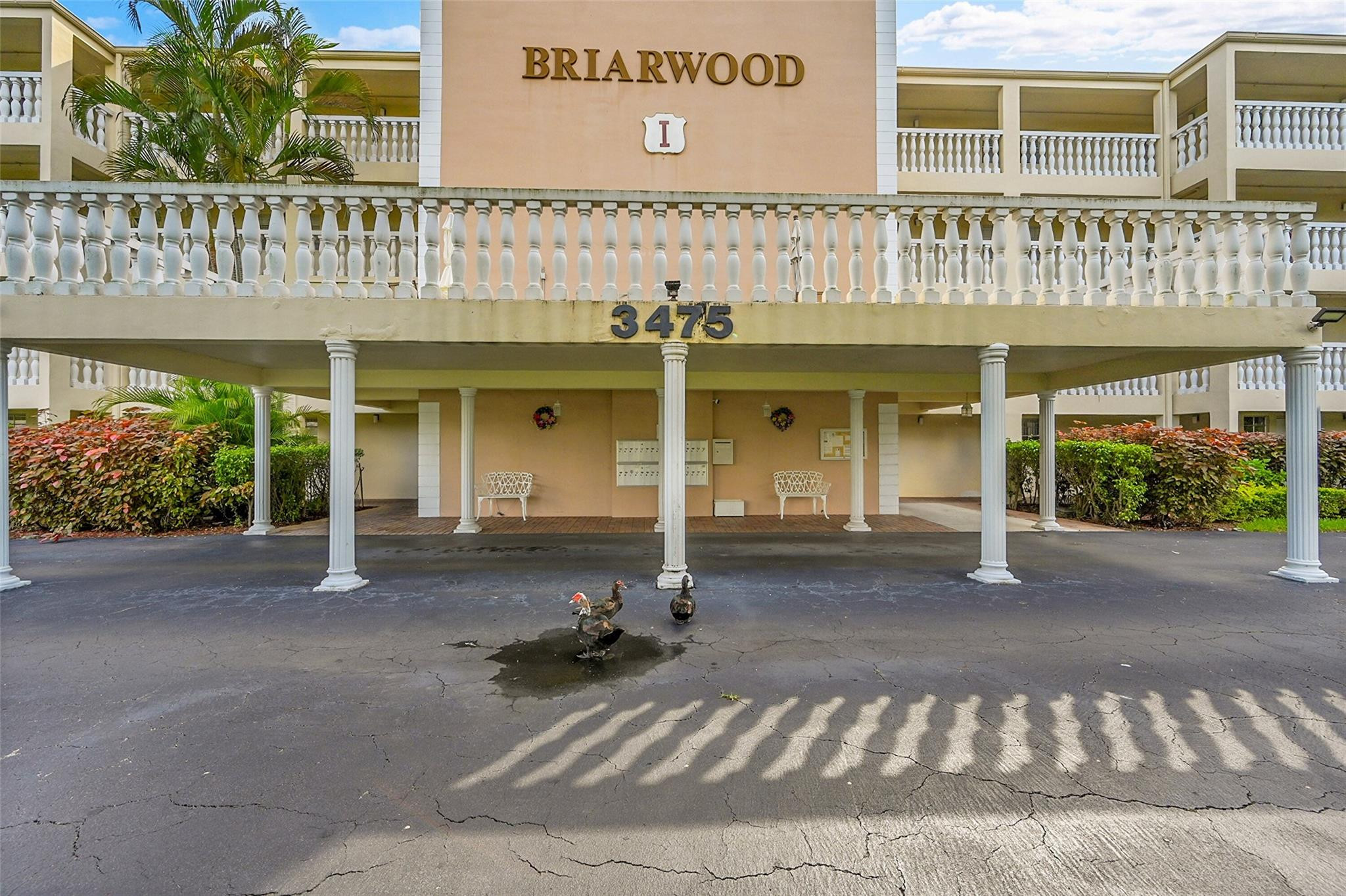 Briarwood Club Condo - Residential