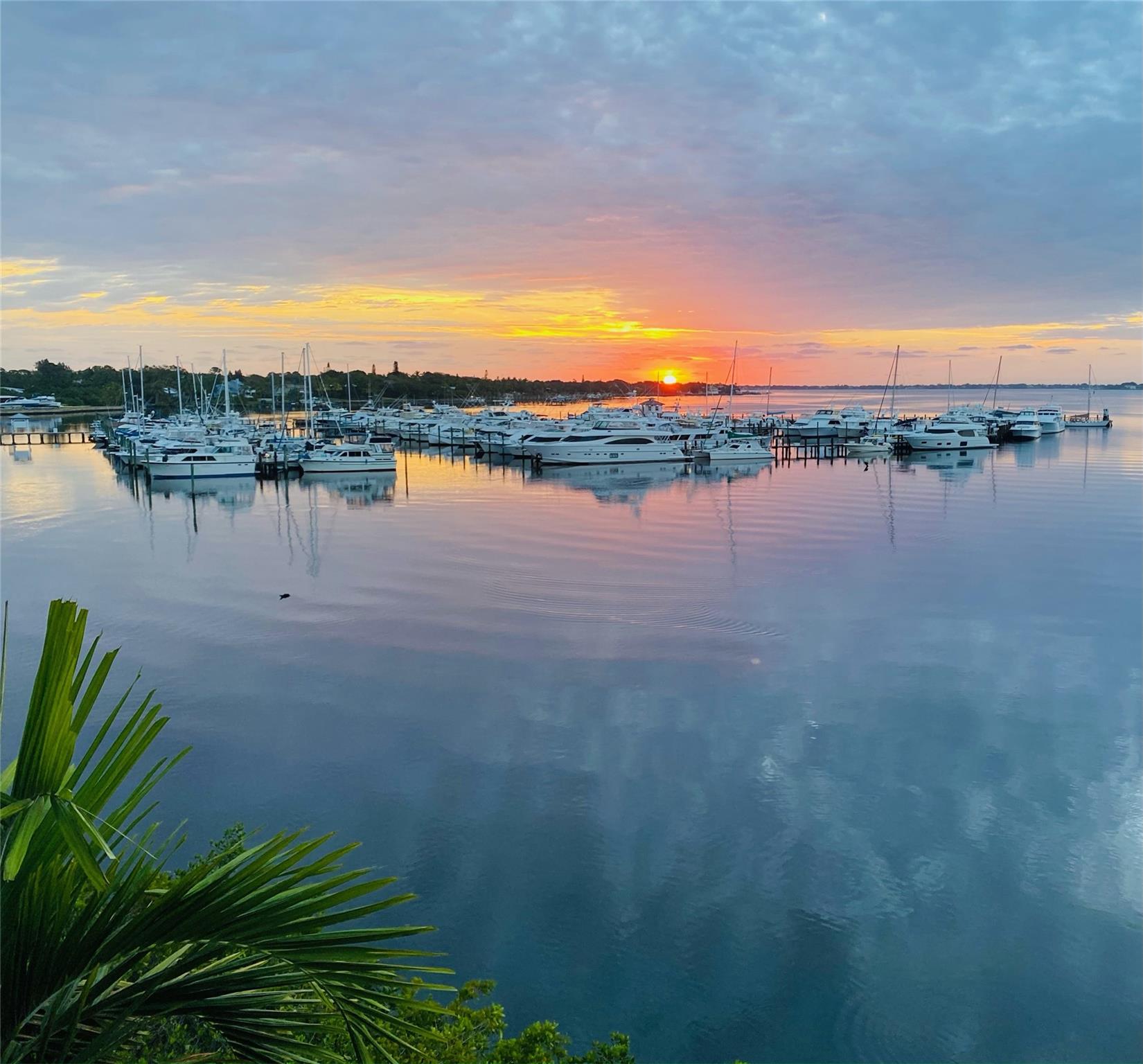 Harborage Yacht Condo - Residential