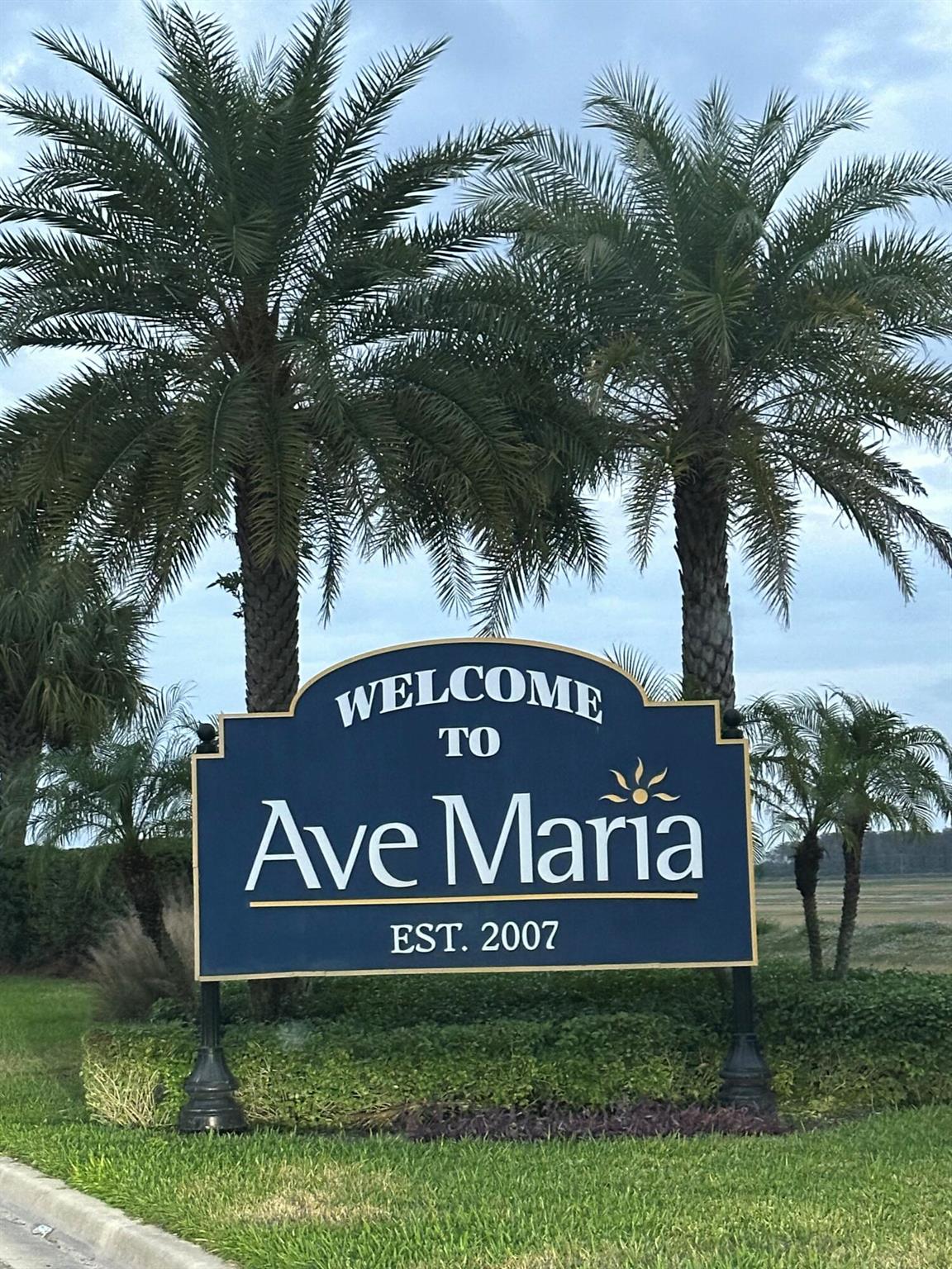 Coach Homes ll At The Nat - Residential