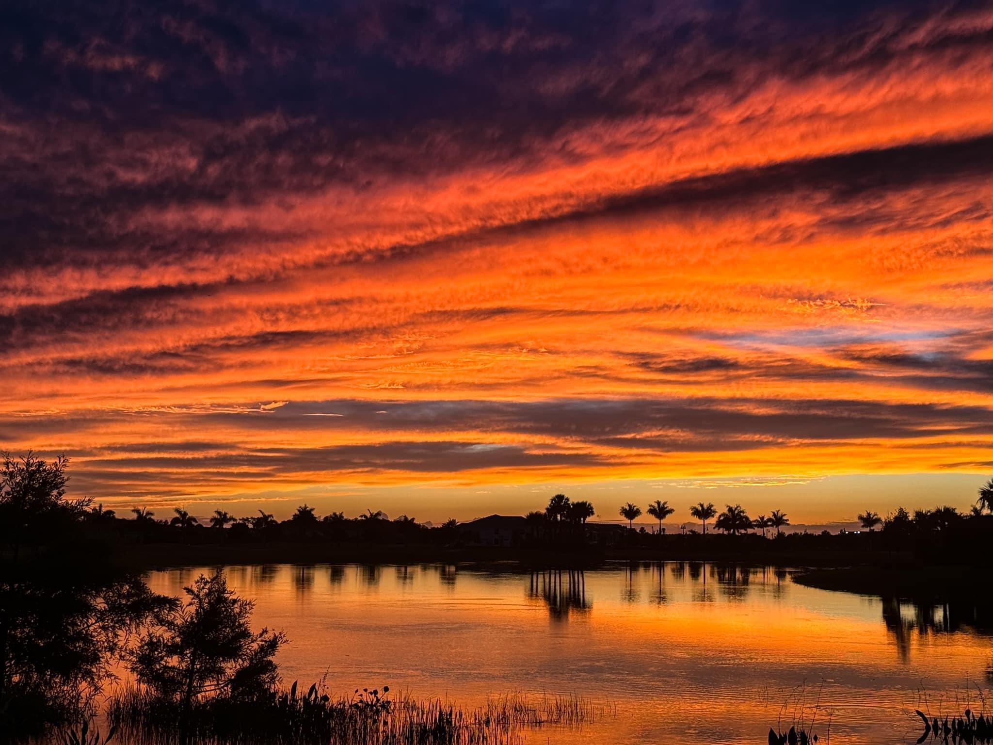 Coach Homes ll At The Nat - Residential