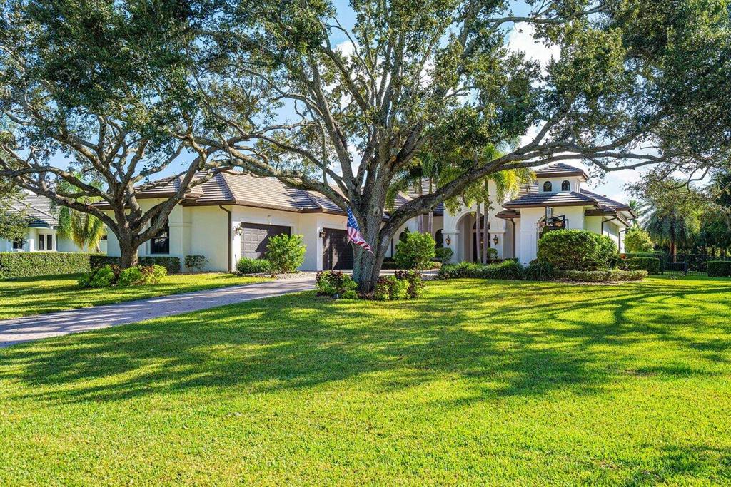 Steeplechase - Residential