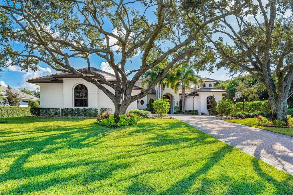 Steeplechase - Residential