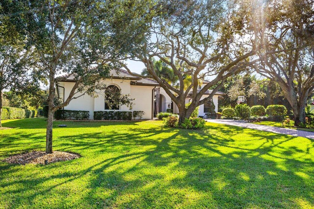 Steeplechase - Residential