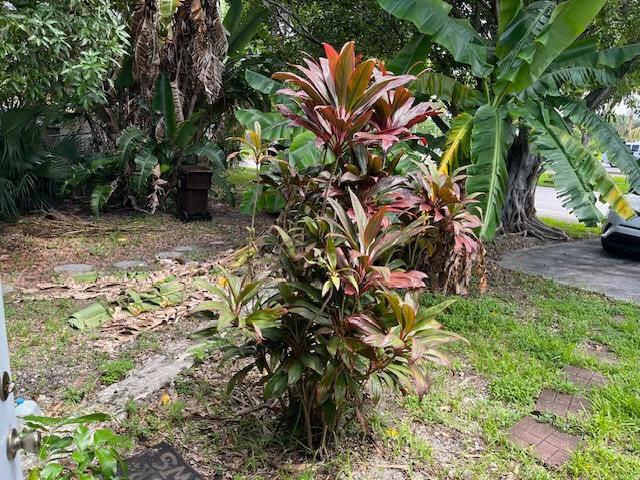 BONNYVIEW ADD 2 - Residential Lease