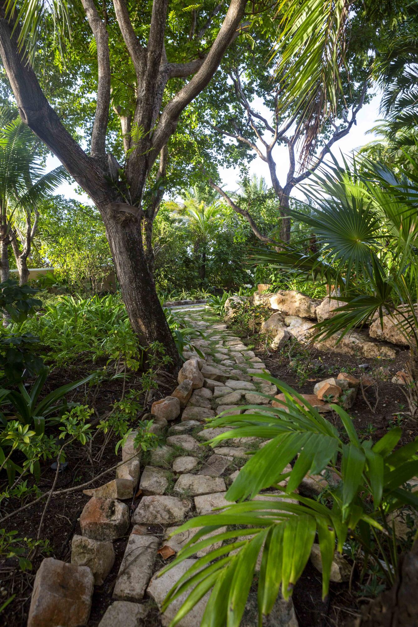 Mill Reef - Residential