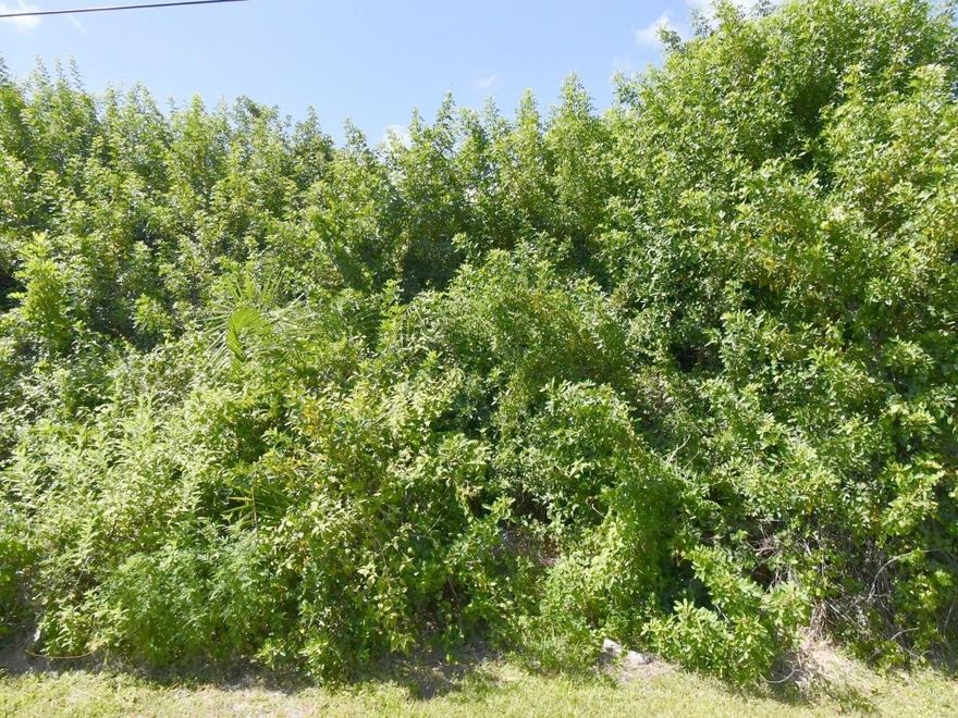 GREAT SCOTT!!  INCREDIBLE OPPORTUNITY TO BUILD YOUR DREAM HOME IN A VERY DESRIBLE AREA**CORNER LOT**THERE IS AN ADJACENT LOT FOR SALE (1582 SW JACKSONVILLE AVE)**CONVENIENT ACCESS TO BOTH FLOIRDA TURNPIKE AND I95. JUST MINUTES FROM SHOPPING, POPULAR RESTAURANTS AND CLOSE TO TRADITIONS. APPROX 20 MINUTES TO BEACHES.