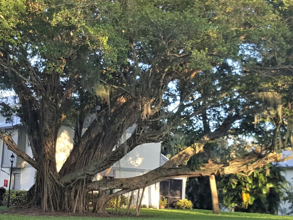 Photo of 2233 NW 22nd Avenue #101, Stuart, FL 34994 (MLS # R11031158)