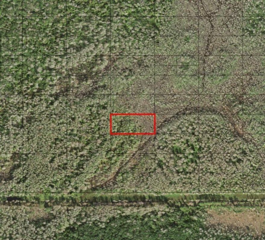 Holopaw property. Ride, camp and huntingOwner financing available