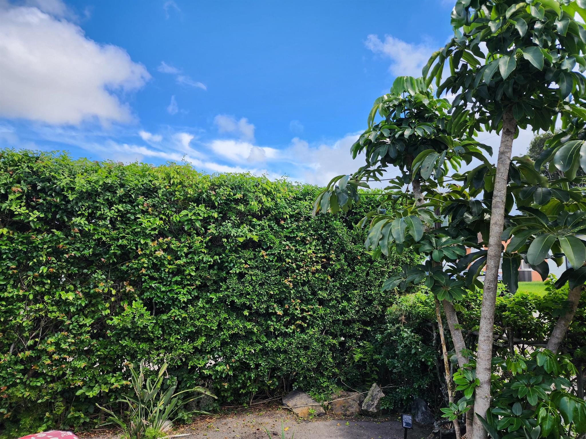 RIVIERA BEACH HEIGHTS ADD - Residential Lease