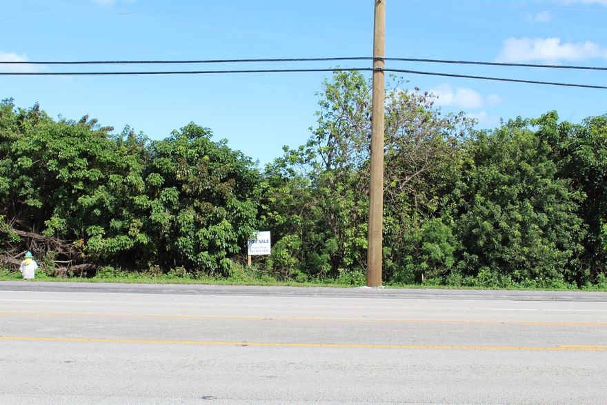 location location location!!! 1.86 acre parcel opportunity for developer or investors. This property is perfect for medical offices,laws firm or small businesses.