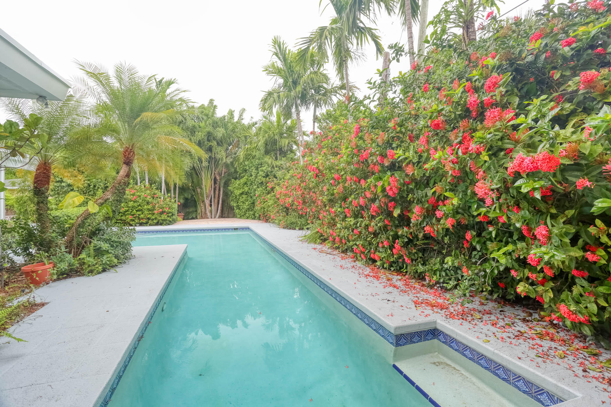 EDGEWATER - Residential