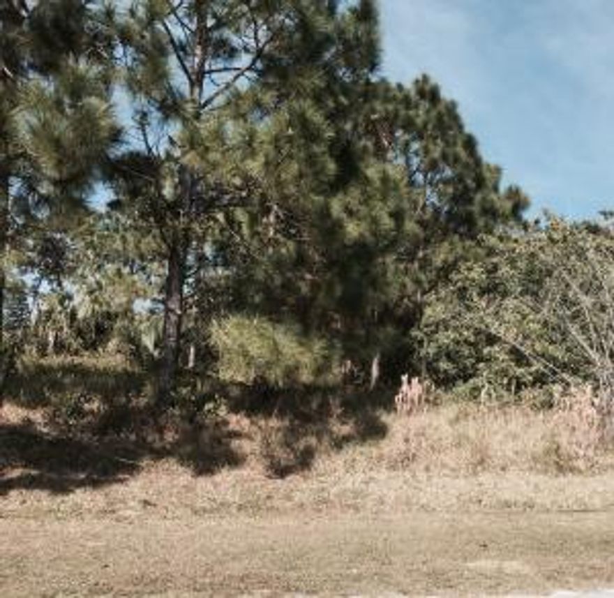 Vacant Lot located in nice residential neighborhood. Quick response from seller.