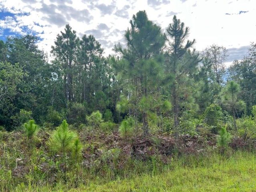 Much desired Leisure Lakes property on canal with direct access to Lake Carrie and Lake June!
Build your dream home or private get-a-way and have access to all your favorite water sports right at your back door!
All measurements are approximate.