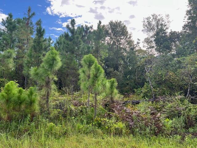 Leisure Lakes - Land