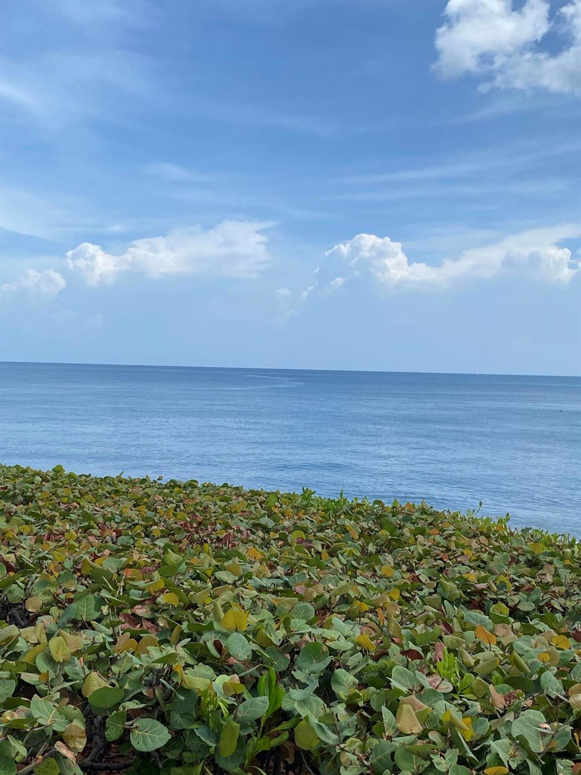 Juno Shores Condo - Residential Lease