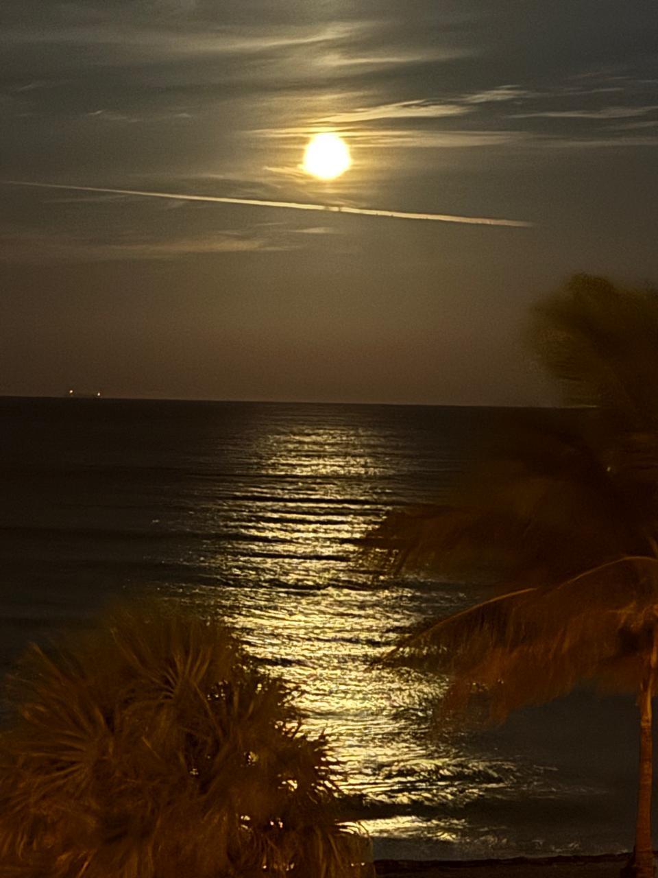 LA PLAYA CONDOMINIUMS - Residential Lease