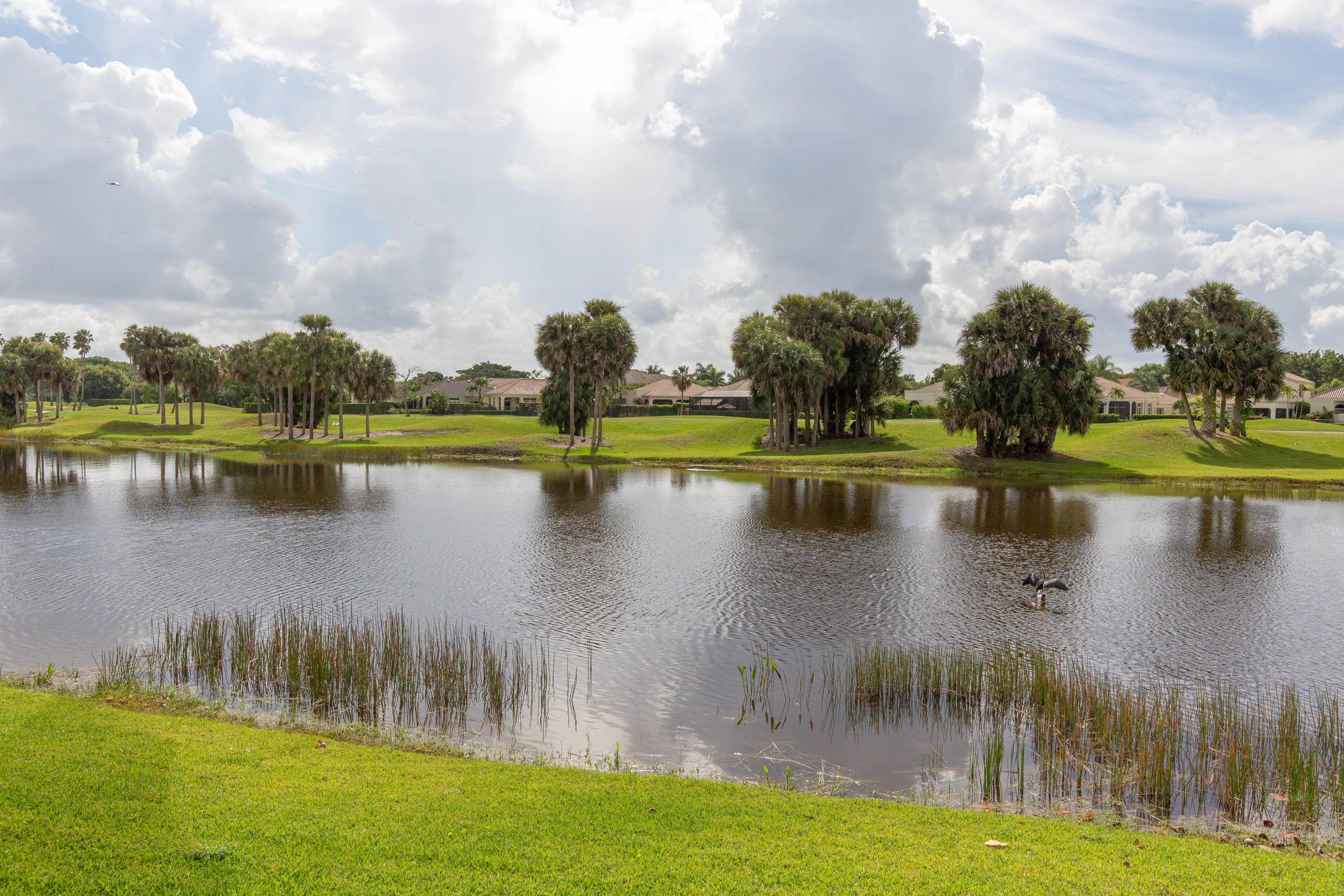 CYPRESS ISLAND OF PALM BEACH POLO & COUN - Residential