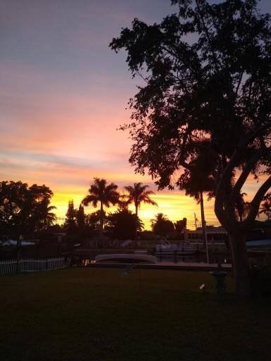 Davis Isles - Residential