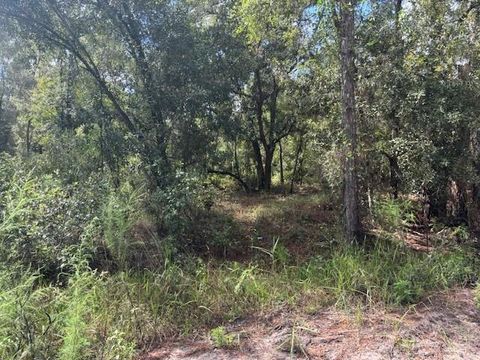 0 County RD 54 E Kathleen FL 33849