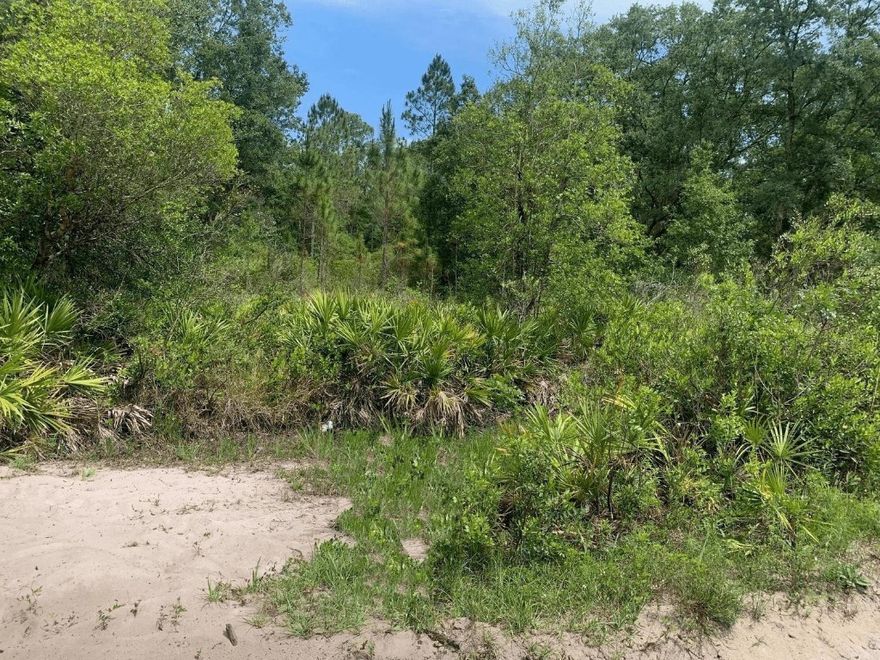 Own 1.26 acres in Recreational area Rancho Bonito. Owner financing available